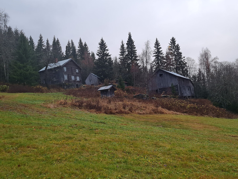 Hammershaug