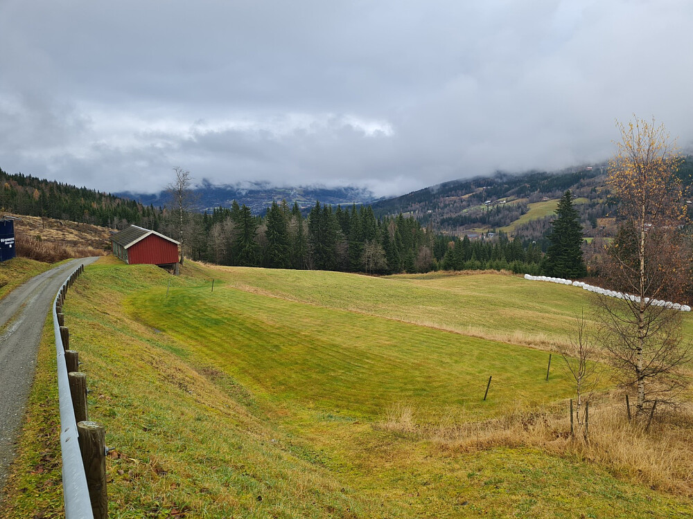 Nygaard
