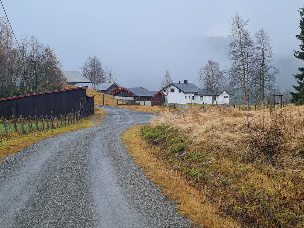 Gammelhushaugen