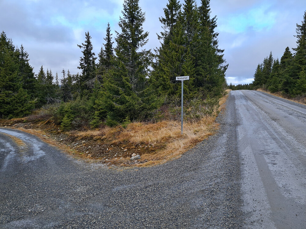 Parkerte her og gikk ned til gapahuken