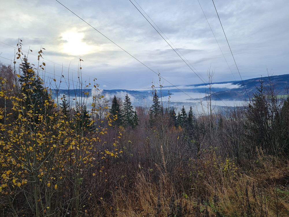Utsikt fra Bælakrysset