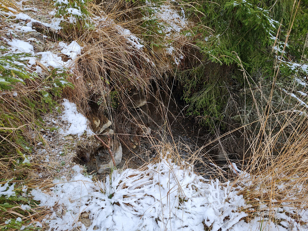 Råket helt utrast nå i Djupådalsråket opp for Hakkerudsvea