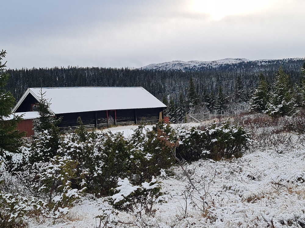 Fjøset på Skårsetra, med Gammelhans bak