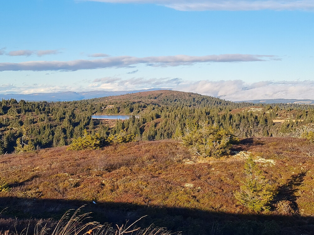 På Toftfjellet, mot Sneiråktjernet og Hærfjellet