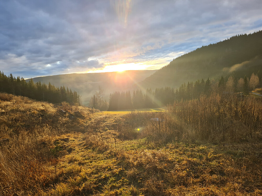 Solnedgang der jeg parkerte
