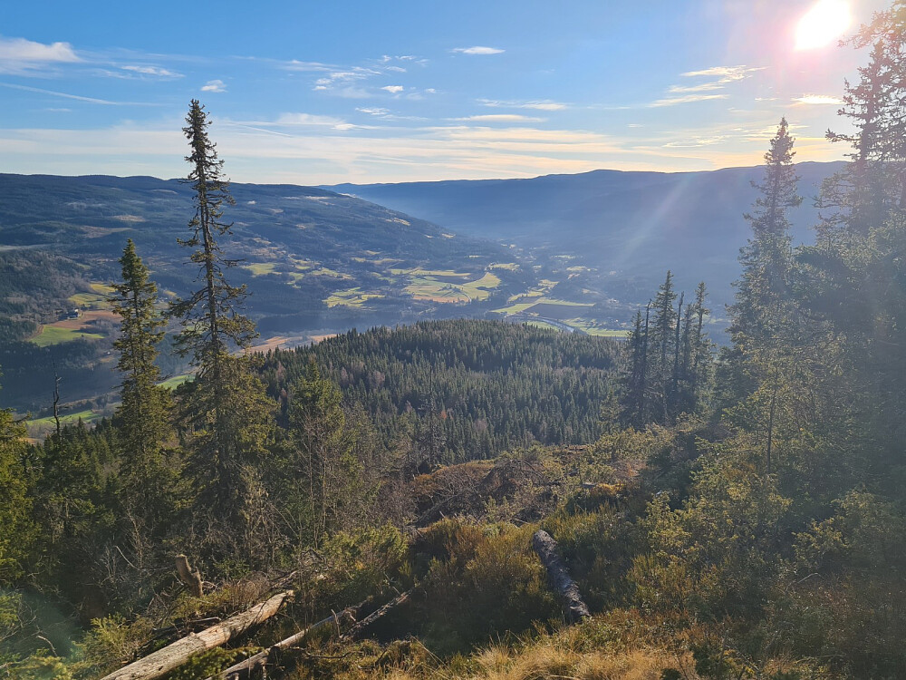 Utsikt fra Vardkampen