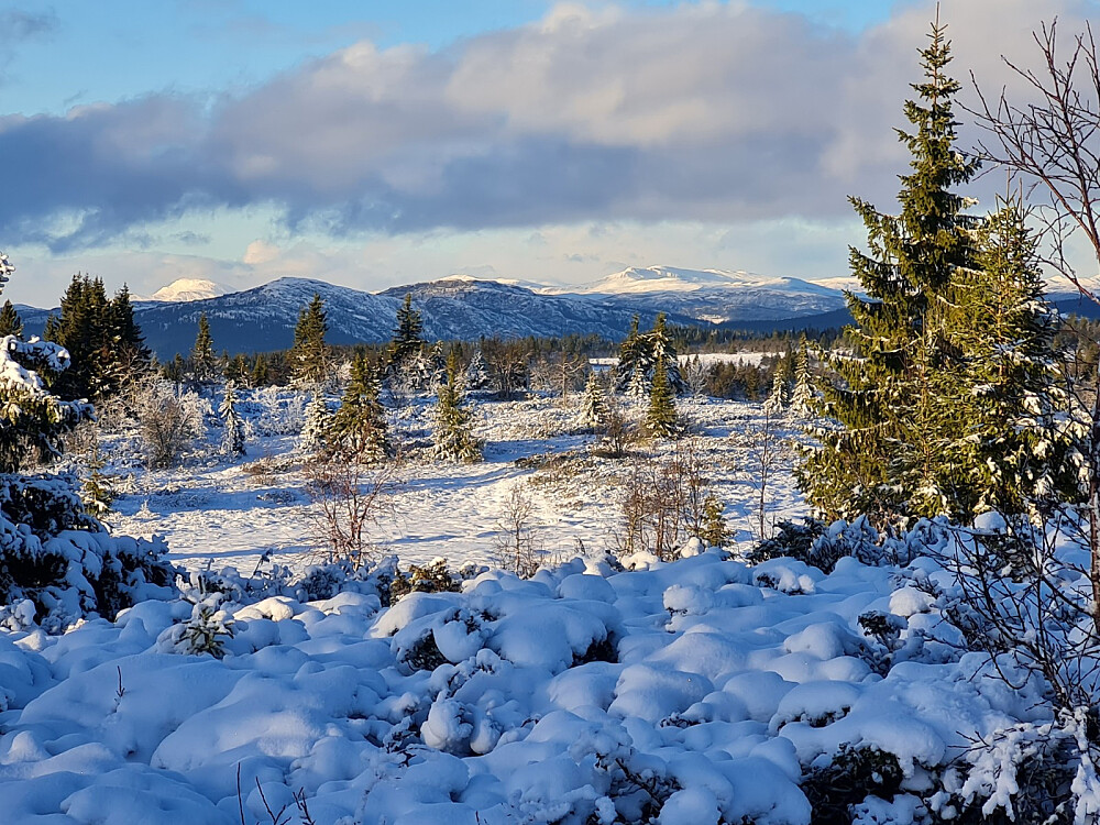utsikt fra turstart, mot Skaget, Ormtjernskampen, Dokkampen og Nordre Langsua