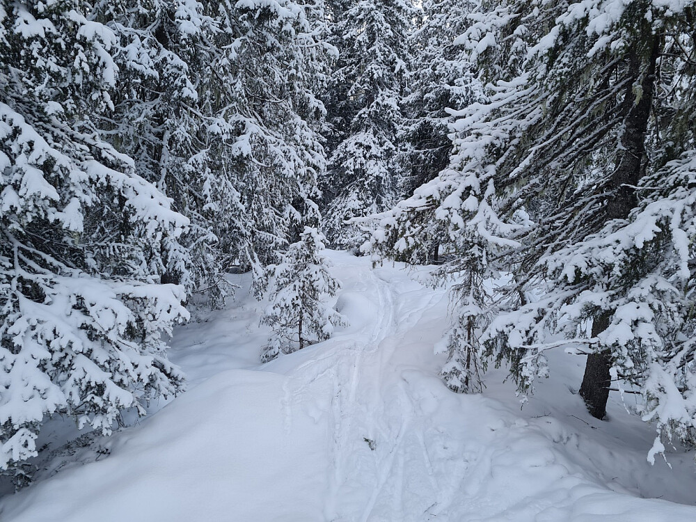 Kinnkjølens toppunkt
