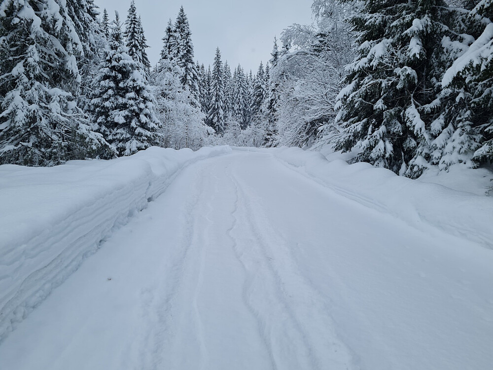 I enden av Hammerlivegen