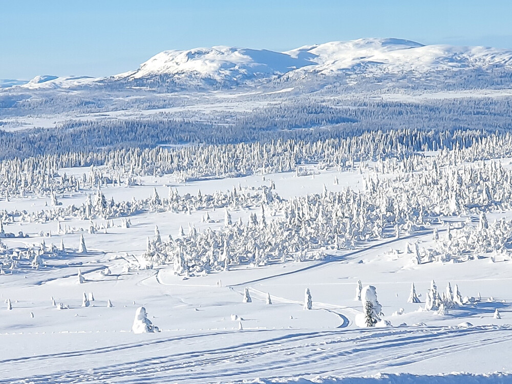 Utsikt mot Røssjøkollane og Snuen