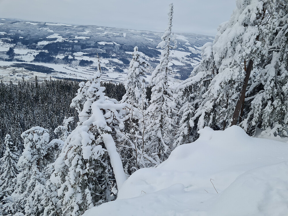 På Balbergkampens utsiktspunkt