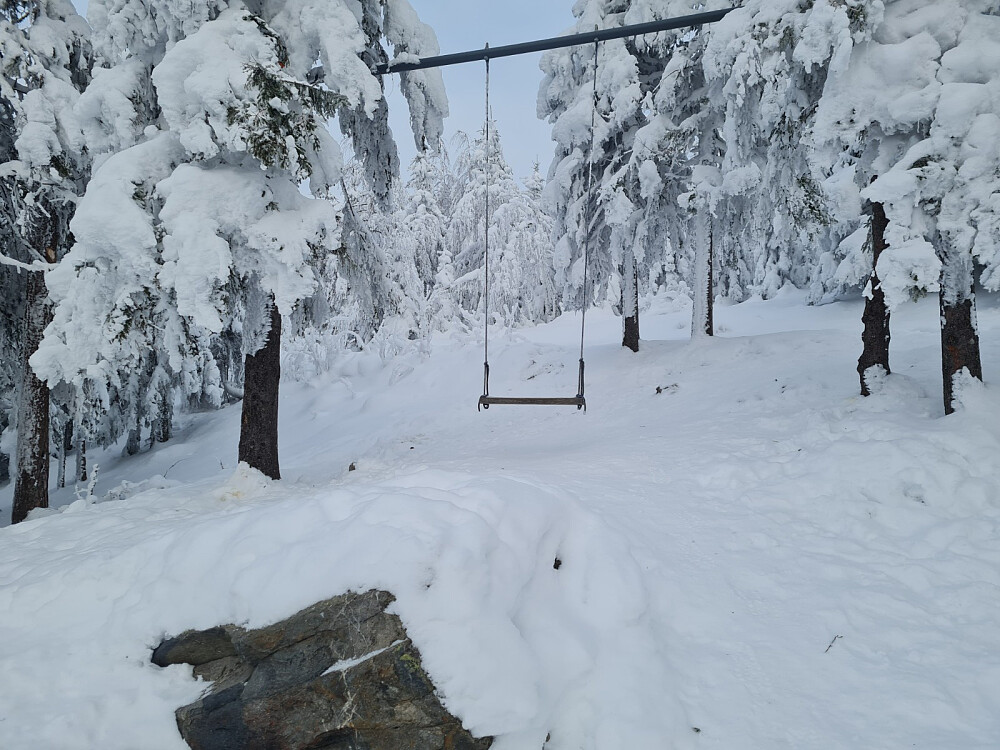 På Balbergkampens utsiktspunkt