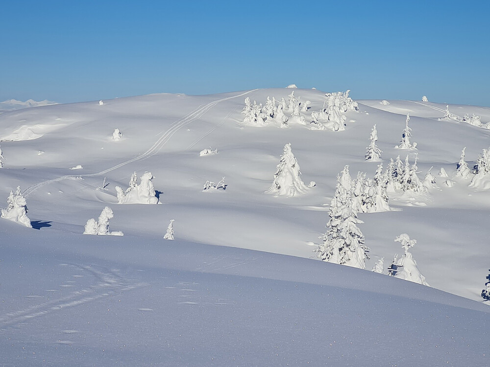 Kjettberget, mot høyeste punkt på Torpevassfjellet