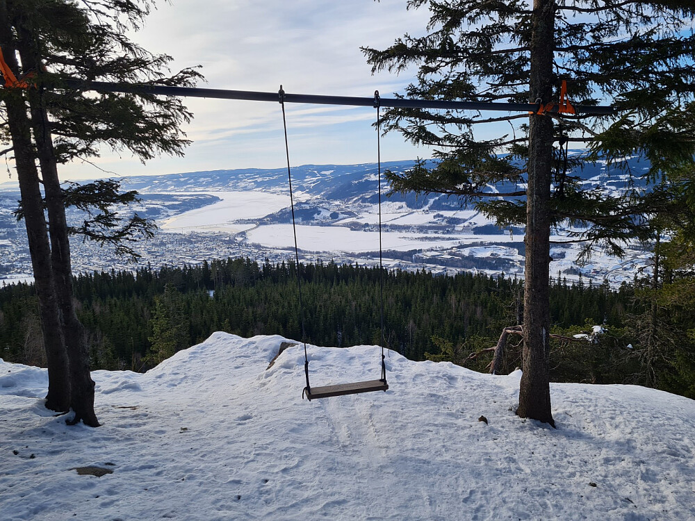 Huska på utsiktspunktet