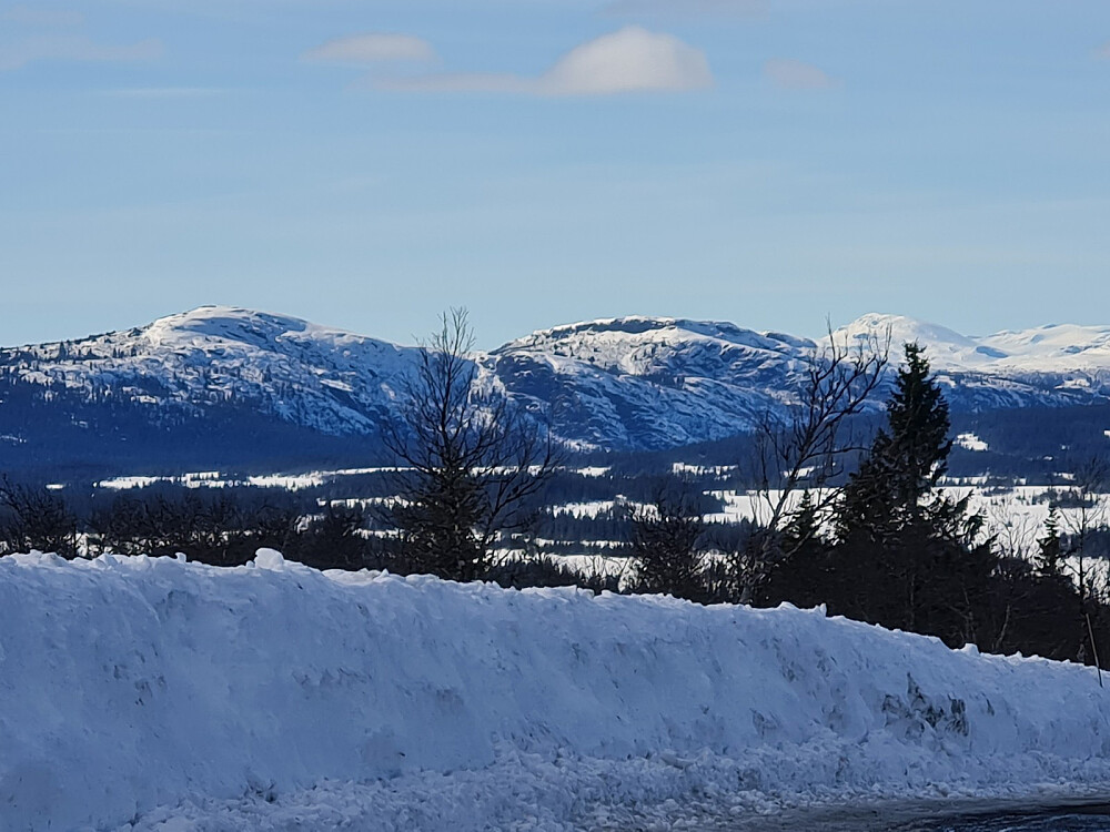 Ormtjernkampen, Dokkampen og Skaget fra Værskei