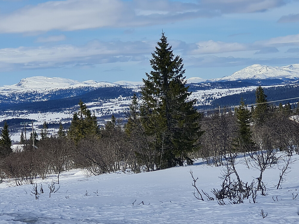 Ongsjøfjellet og Søre Gråhøa fra Værskei