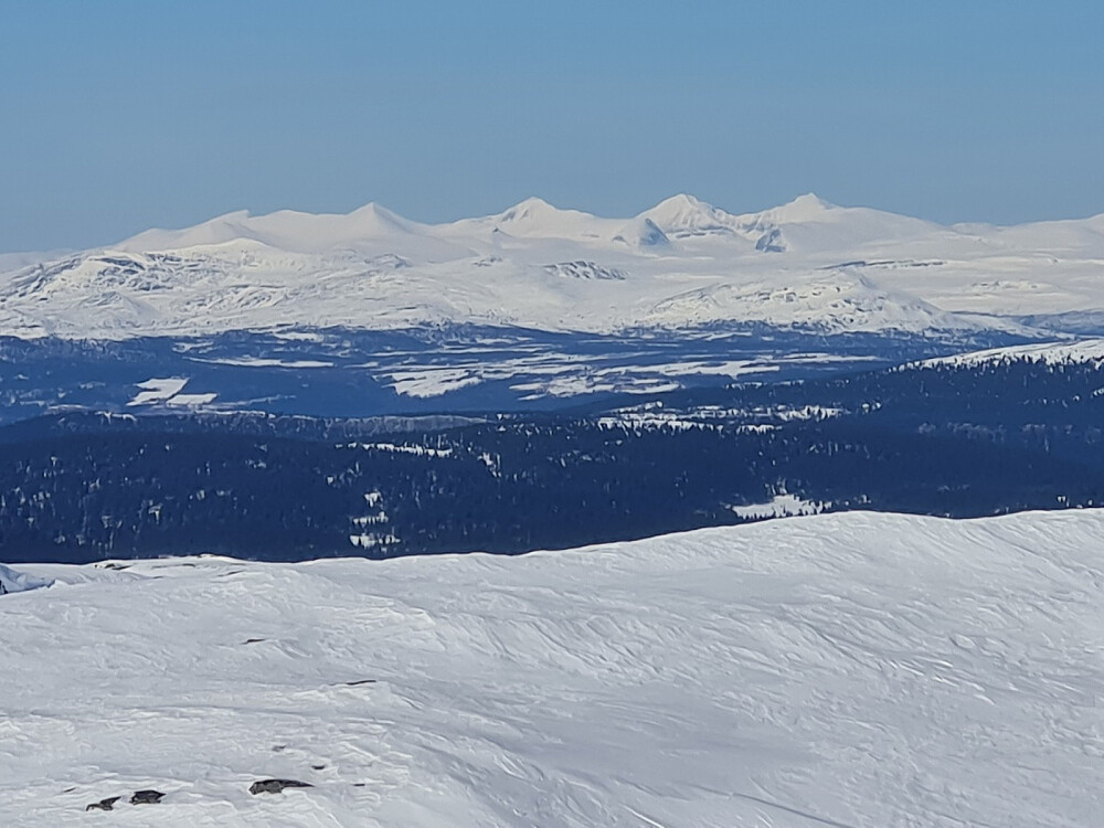Rondane sett fra Prestkampen