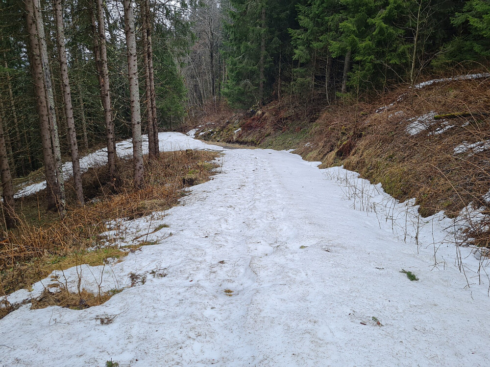 Fortsatt snø i Hammershaugvegen