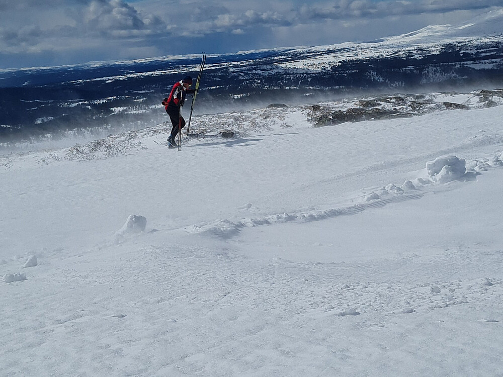 Arvid på Prestkjerringa