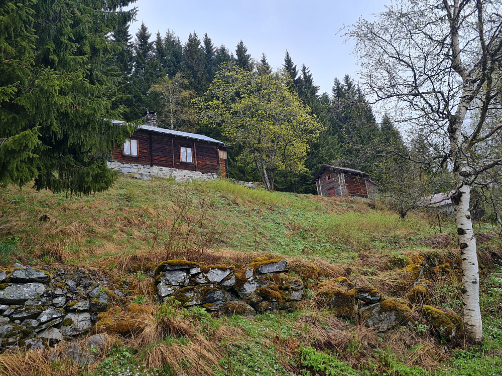 Gutua (Eriksrudgutua