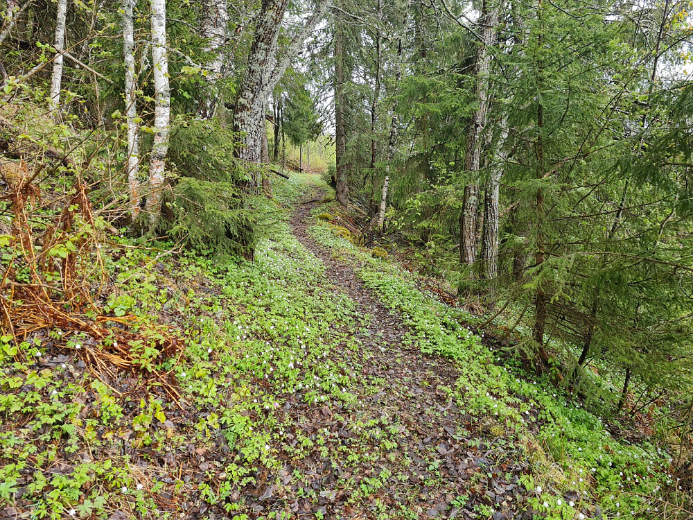Idyllisk råk mellom Øygarden og Ulsrud