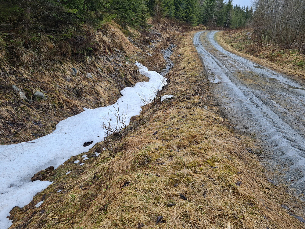 Litt snø i veikanten fortsatt