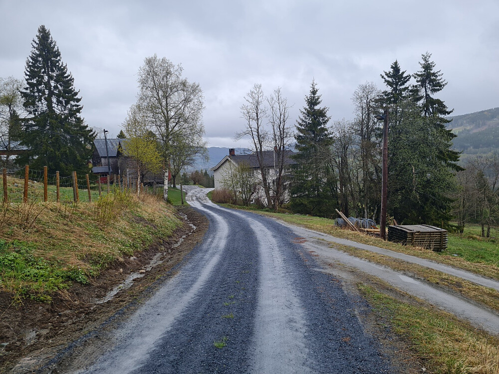 Nygaard
