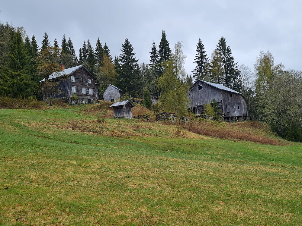 Hammershaug