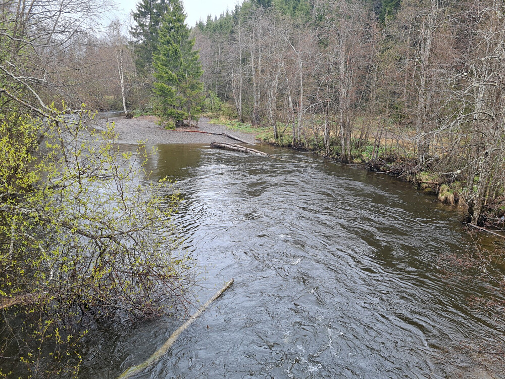 Augga ved skibrua