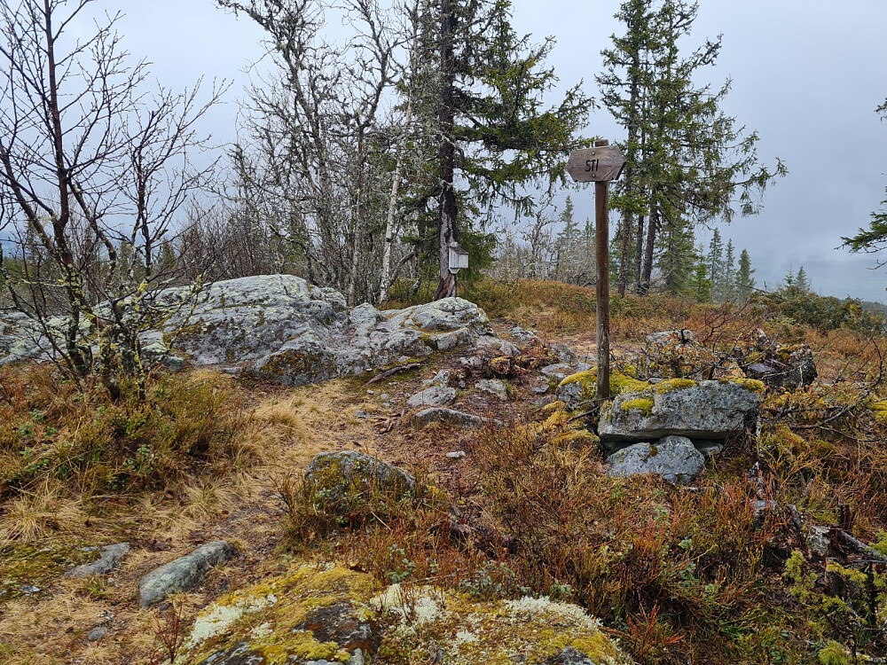 Vardkampen