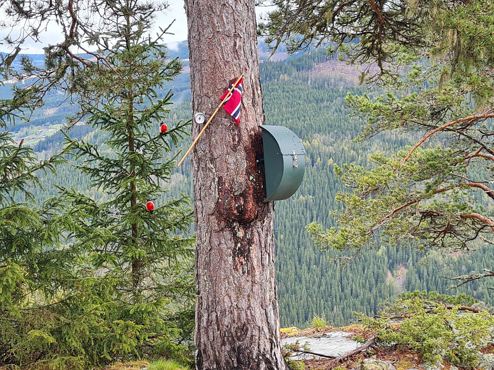 17.mai pyntet på Kalstadberget