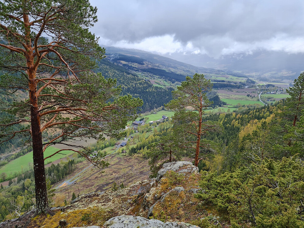 På Kalstadberget