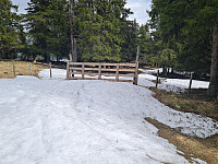 repelo_20260518_6a0ab232b3fb8.jpg