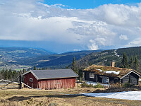 repelo_20260518_6a0ab232b6430.jpg