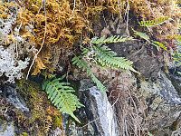 repelo_20260518_6a0ab232c8c14.jpg