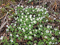 repelo_20260518_6a0ab232d8369.jpg