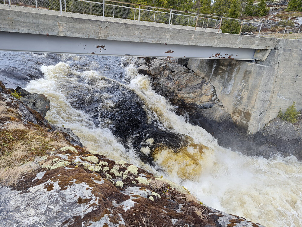 Dokkelva går flomstor