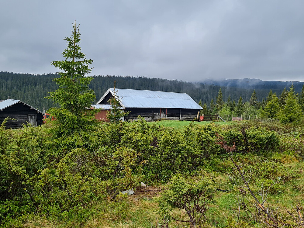 Skårsetra, litt snø på Skjelbreidsfjellet