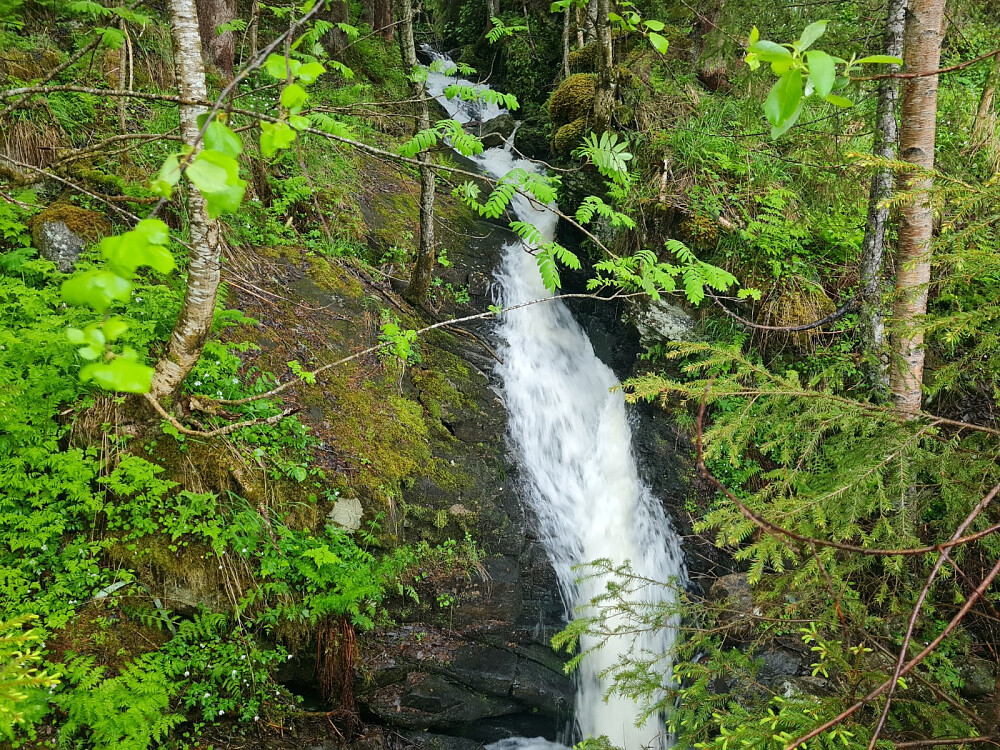 Storbekken