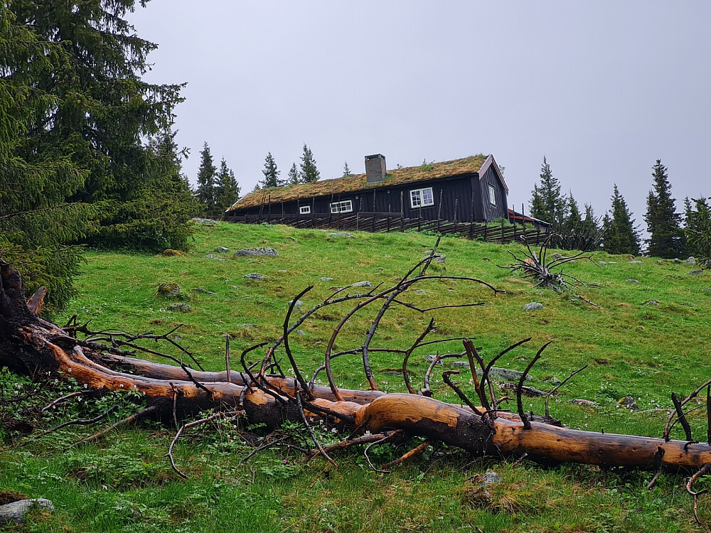 Storsetra