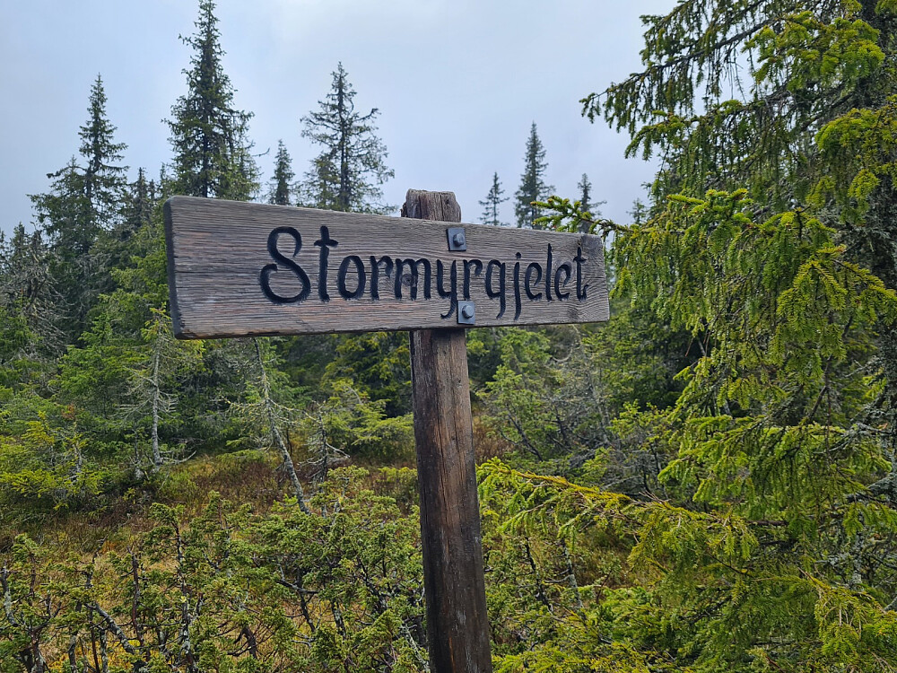 Stormyrgjelet