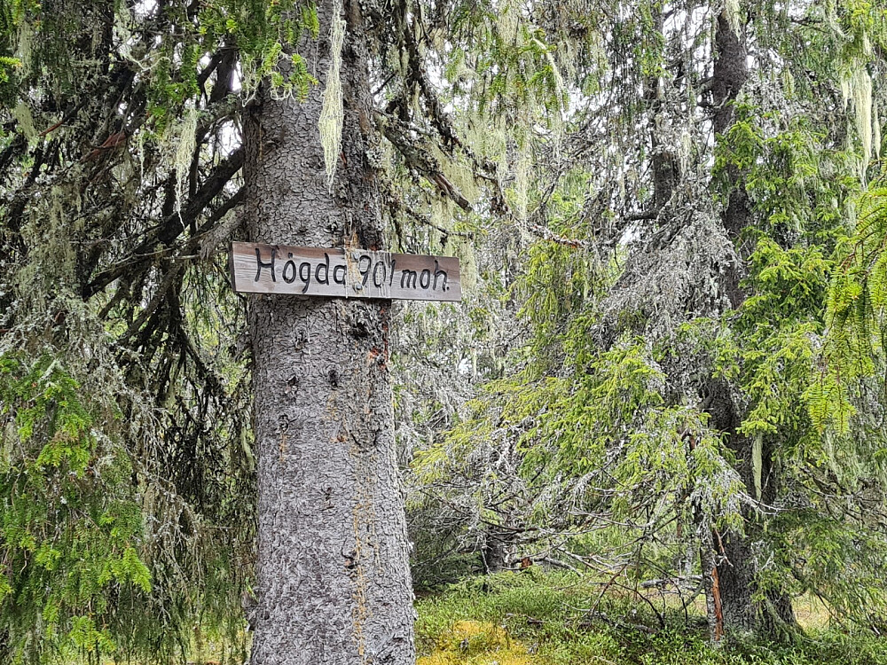Storseterhøgda