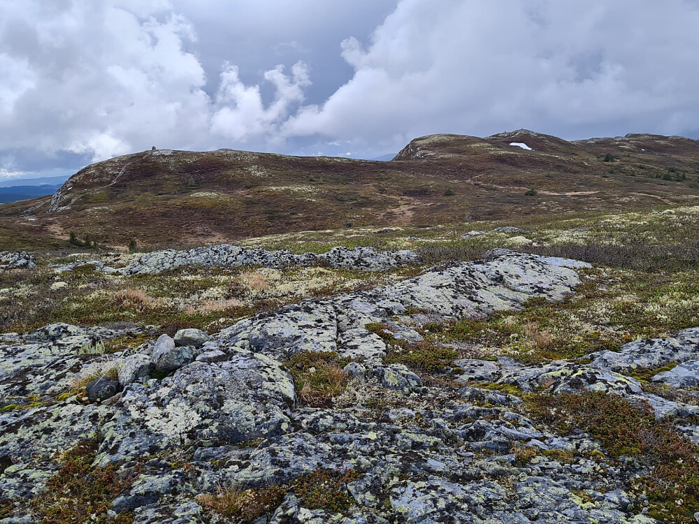 Mot Gammelhans og Hindalsfjellet