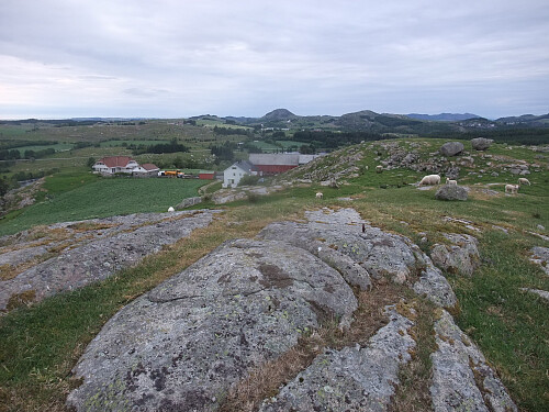På Høga Håland. Åslandsnuten 302 rett bak. Bjørndalsfjelelt 362 fjernere et stykke t.h.