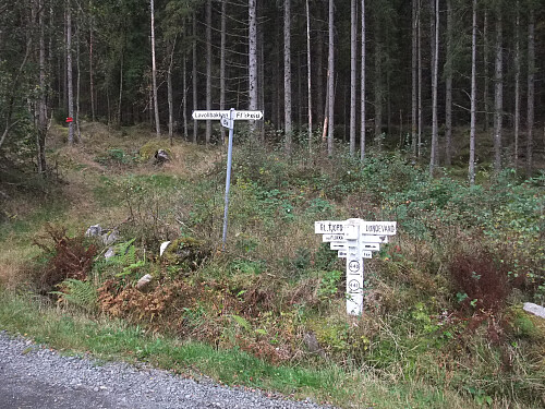 Turstart ved vegkrysset mellom Flikkeid og Lavoll.