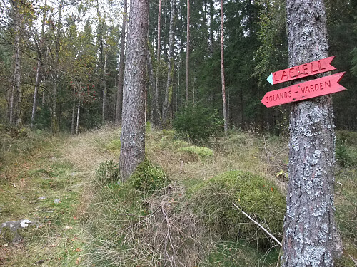 Stien og turskilt til Lafjell og Solandsvarden i skogen.