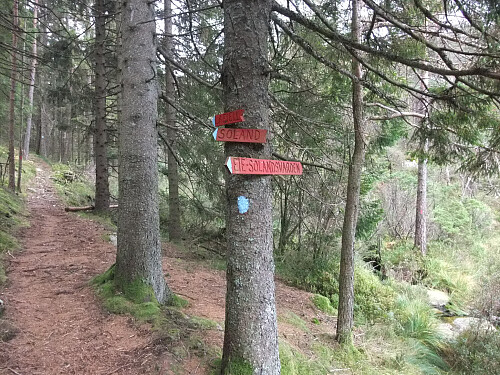 Stidele ved Gåsetjørn.