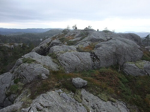 Toppryggen på Bergetjørnknuten.