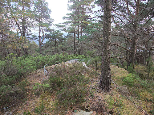 Toppen på Lafjell.