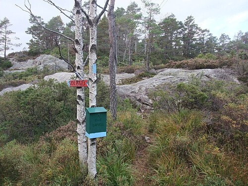 Trimpost litt nedforbi toppen av Lafjell.